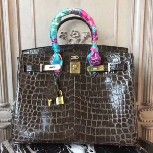 Hermes Birkin Bag In Cafe Crocodile Leather