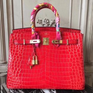 Hermes Birkin Bag In Cherry Crocodile Leather