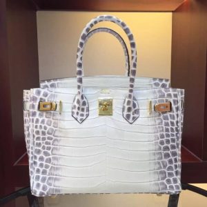 Hermes Birkin Bag In White Crocodile Leather